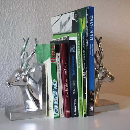 Harzgruen 1 Appartamento Sankt Andreasberg