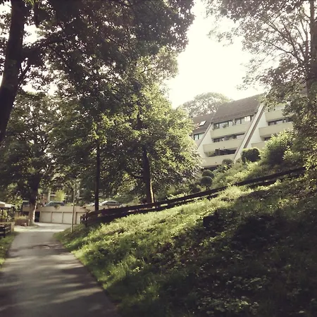 Harzgruen 1 Sankt Andreasberg