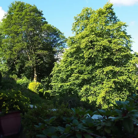 Harzgruen 1 Appartamento Sankt Andreasberg