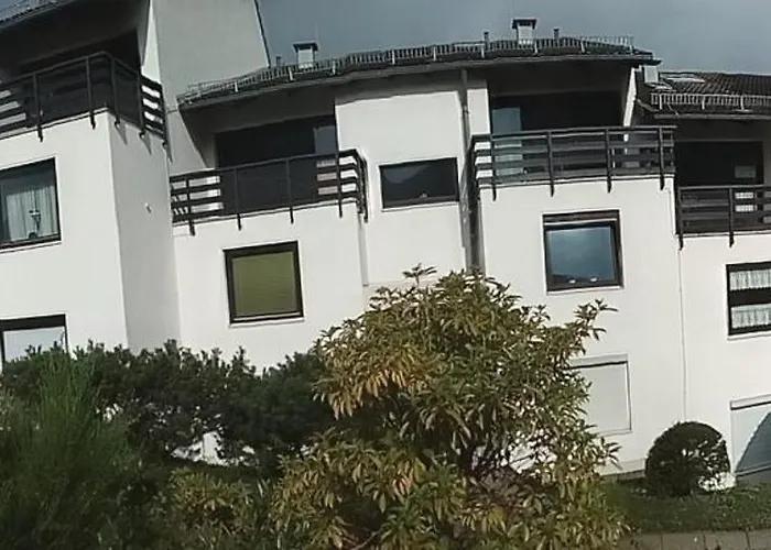 Harzgrün 1 * Sankt Andreasberg