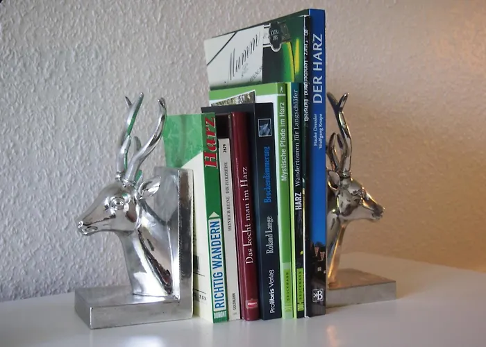 Harzgrün 1 Daire Sankt Andreasberg