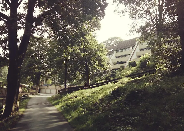 Harzgrün 1 Sankt Andreasberg