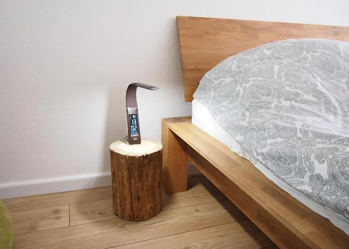 Harzgrün 1 * Sankt Andreasberg