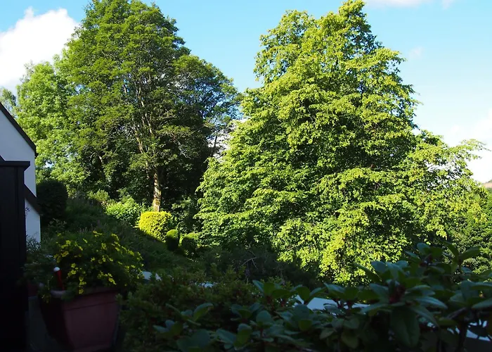 Harzgrün 1 Daire Sankt Andreasberg